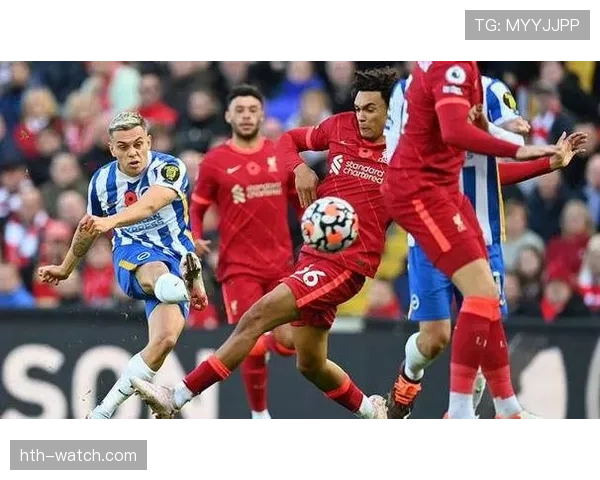 埃弗顿战术体系调整对球队表现的影响趋势分析 埃弗顿战术体系调整对球队表现的影响趋势分析